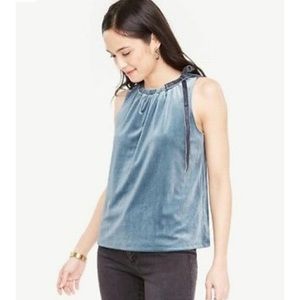 Ann Taylor Velvet Blue Blouse